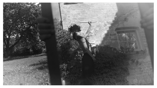 Video Reference: Window, Plant, Branch, Flash photography, Water, Black-and-white, Gesture, Style, Grass, Tints and shades