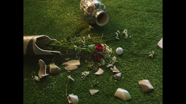 Video Reference: Nature, Plant, Grass, Lawn, Wood, Art, Petal, Event, Leisure, Still life photography