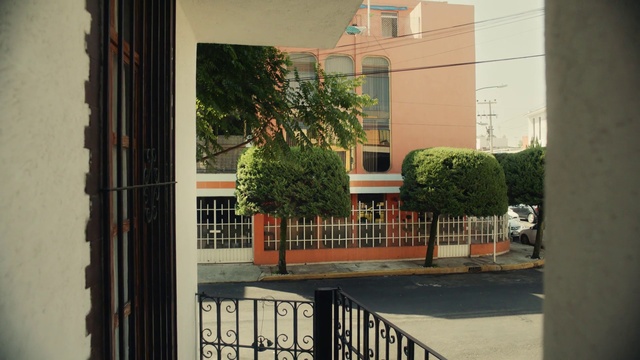 Video Reference: Building, Property, Window, Plant, Fixture, Fence, Wood, Tree, Shade, Neighbourhood
