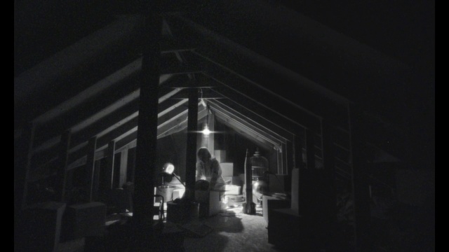 Video Reference: Flash photography, Tints and shades, Midnight, Monochrome photography, Darkness, Monochrome, Symmetry, Room, Wood, Shadow