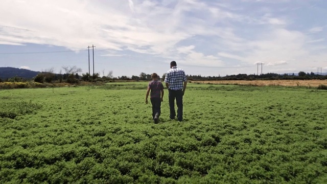 Video Reference: Cloud, Sky, Plant, People in nature, Natural landscape, Gesture, Land lot, Agriculture, Grassland, Plain