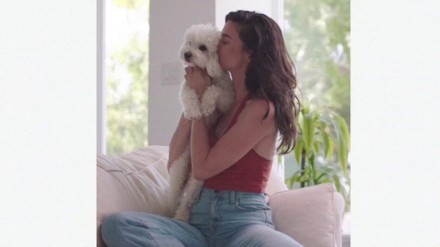 Video Reference: Clothing, Jeans, Dog, Plant, Comfort, Happy, Gesture, Carnivore, Fawn, Companion dog