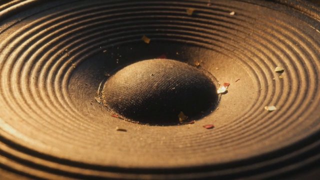 Video Reference: speaker, loudspeaker, audio, sound, cone, close-up, macro, texture, dust, debris, electronics, hardware, audio equipment, warm light, abstract, detail
