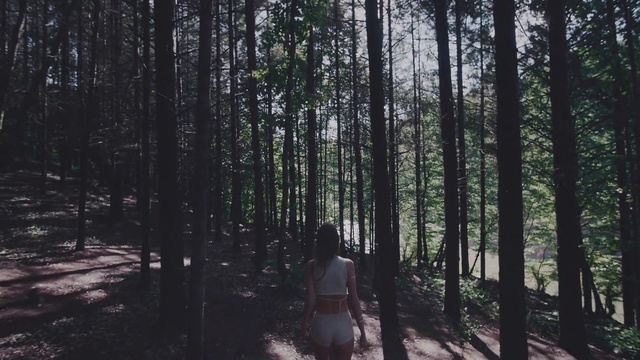 Video Reference: Plant, Plant community, People in nature, Natural landscape, Wood, Tree, Terrestrial plant, Trunk, Tints and shades, Grass