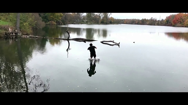 Video Reference: Water, Nature, Bicycle handlebar, Tree, Sky, People in nature, Natural landscape, Sunlight, Flash photography, Lake