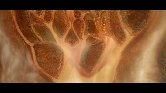 Video Reference: Hand, Jaw, Neck, Organism, Gesture, Font, Art, Close-up, Eyelash, Peach