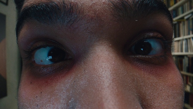 Video Reference: Nose, Brown, Eyebrow, Eyelash, Organ, Human body, Iris, Curious, Close-up, Wrinkle