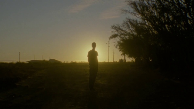 Video Reference: Cloud, Sky, Atmosphere, Plant, Water, Sunset, Dusk, People in nature, Sunrise, Tree