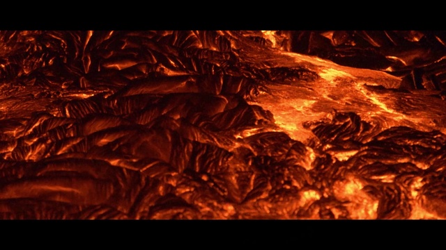 Video Reference: Plant, Amber, Wood, Heat, Fire, Landscape, Event, Darkness, Sky, Flame