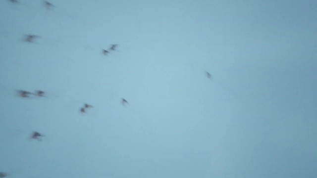 Video Reference: Slope, Geological phenomenon, Snow, Freezing, Event, Electric blue, Winter, Sky, Pest, Landscape