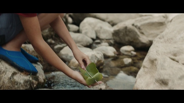 Video Reference: People in nature, Organism, Gesture, Flash photography, Happy, Terrestrial plant, Plant, Grass, Leisure, Thigh