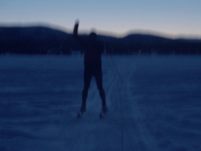 Video Reference: Water, Sky, People in nature, Gesture, Atmospheric phenomenon, Dusk, Lake, Horizon, Landscape, Tree