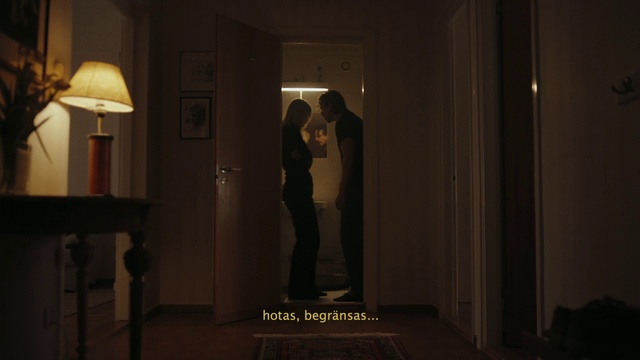 Video Reference: Lighting, Building, Flash photography, Wood, Lamp, Tints and shades, Flooring, Art, Darkness, Event