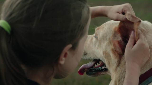 Video Reference: Dog, Carnivore, Dog breed, Ear, Jaw, Collar, Gesture, Working animal, Happy, Companion dog