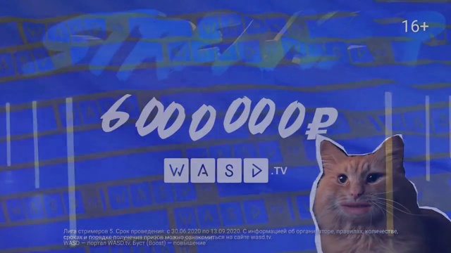 Video Reference: Cat, Blue, Azure, Felidae, Small to medium-sized cats, Whiskers, Carnivore, Font, Electric blue, Snout