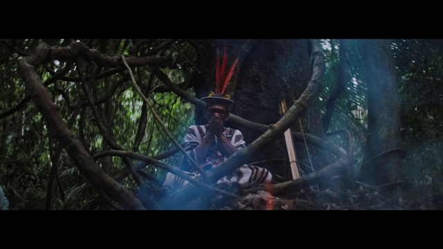 Video Reference: Plant, Terrestrial plant, Tree, Helmet, Cg artwork, Forest, Entertainment, Movie, Darkness, Fictional character