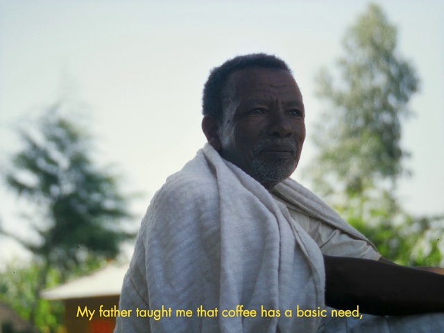 Video Reference: Forehead, Outerwear, Sky, Tree, Happy, Adaptation, Grass, Landscape, Moustache, Art