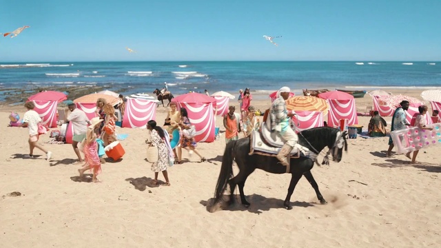 Video Reference: Water, Sky, People on beach, Natural environment, Beach, Working animal, Travel, Bird, Tree, Leisure