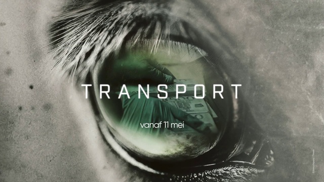 Video Reference: Nose, Hair, Head, Eyebrow, Eye, Eyelash, Human body, Jaw, Flash photography, Iris