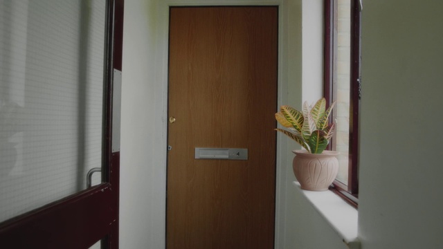 Video Reference: Building, Plant, Flowerpot, Houseplant, Wood, Fixture, Door, Interior design, Handle, House