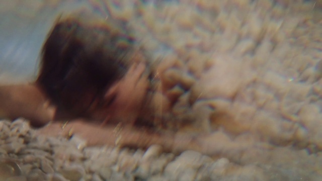 Video Reference: Fawn, Wood, Grass, Terrestrial animal, Soil, Rock, Fur, Sand, Wildlife, Foot