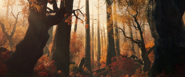 Video Reference: Atmosphere, Plant, Natural landscape, Wood, Natural environment, Twig, Trunk, People in nature, Sky, Orange