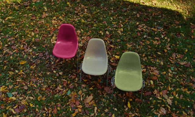 Video Reference: Shoe, Leaf, Guitar accessory, Grass, Tints and shades, Flooring, Wood, Carmine, Petal, Plastic