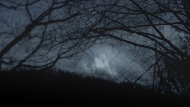 Video Reference: Atmosphere, Sky, Water, Cloud, Wood, Tree, Natural landscape, Twig, Grey, Plant