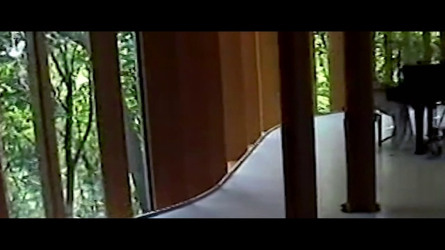 Video Reference: Building, Plant, Wood, Window, Terrestrial plant, Tints and shades, Tree, Door, Font, Shade