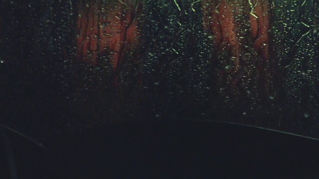 Video Reference: Liquid, Automotive lighting, Window, Wood, Tints and shades, Grass, Plant, Midnight, Landscape, Forest