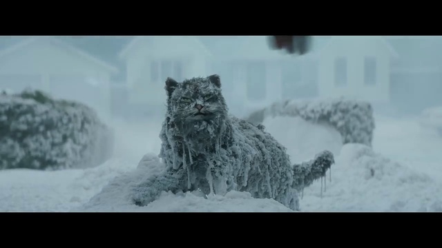 Video Reference: Snow, Carnivore, Lynx, Felidae, Freezing, Terrestrial animal, Automotive tire, Geological phenomenon, Art, Snout