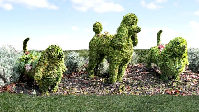 Video Reference: Sky, Plant, Cloud, Hedge, Grass, Art, Flower, People in nature, Groundcover, Landscape