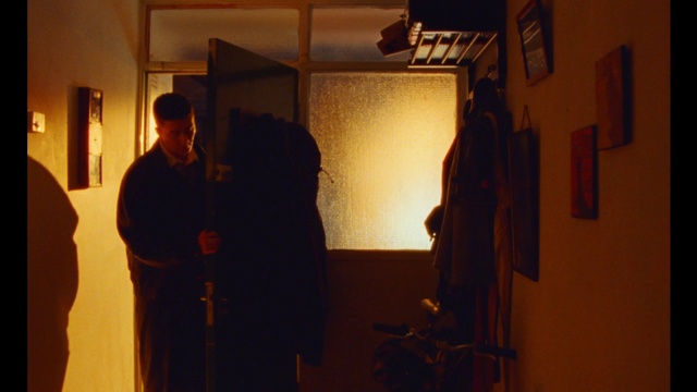 Video Reference: Plant, Art, Event, Darkness, Visual arts, Room, Shadow, Door, Building, Backlighting