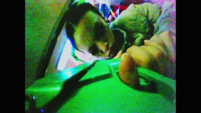 Video Reference: Green, Fawn, Snout, Rectangle, Art, Grass, Magenta, Tail, Display device, Parakeet