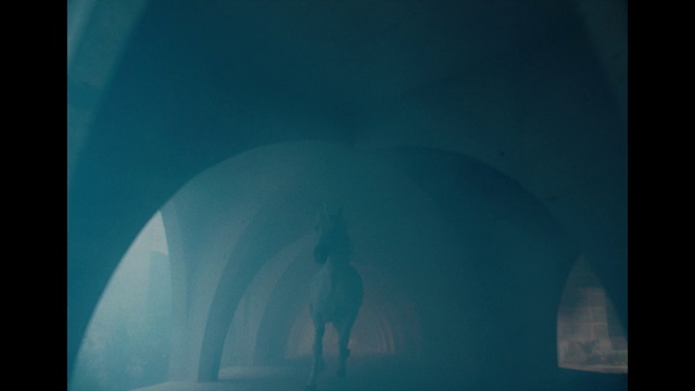 Video Reference: Azure, Organism, Aqua, Art, Tints and shades, Electric blue, Font, Display device, Circle, Symmetry