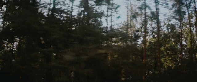 Video Reference: Sky, Natural landscape, Wood, Twig, Terrestrial plant, Trunk, Grass, Tints and shades, Landscape, Tree