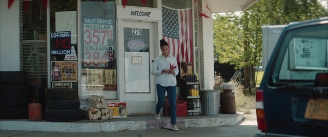 Video Reference: Building, Gas, Waste container, Facade, Road, Street, Tree, Sidewalk, Advertising, City