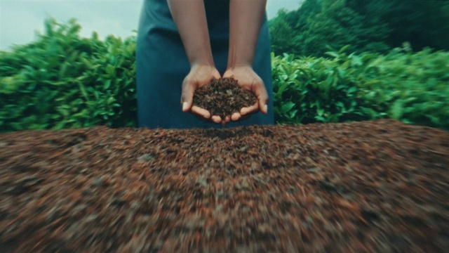 Video Reference: Plant, People in nature, Grass, Groundcover, Wood, Grass family, Human leg, Landscape, Shrub, Soil