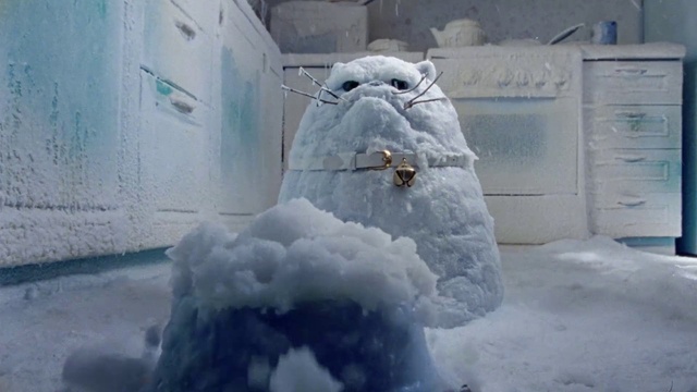 Video Reference: Snow, Freezing, Winter, Precipitation, Event, Art, Fur, Frost, Ice, Snowman