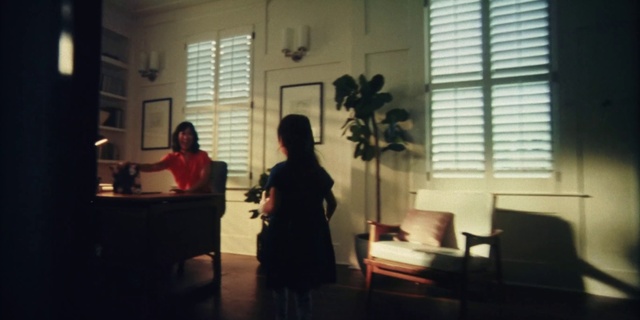 Video Reference: Property, Furniture, Window, Window blind, Interior design, Chair, Plant, Building, Houseplant, Tints and shades