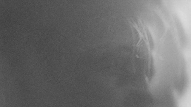 Video Reference: grayscale, blurry, close-up, bright light, overexposed, abstract, dark background, streaks, low light, indistinct