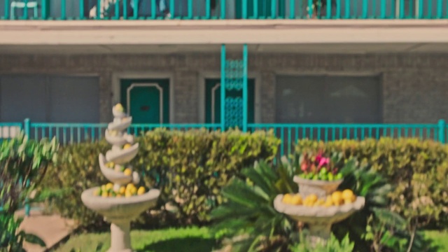 Video Reference: Plant, Property, Building, Window, Flower, Lighting, Architecture, Yellow, Wall, Grass