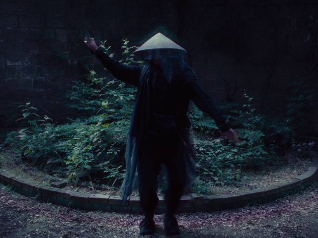 Video Reference: Plant, Outerwear, People in nature, Flash photography, Atmospheric phenomenon, Art, Grass, Tints and shades, Landscape, Hat