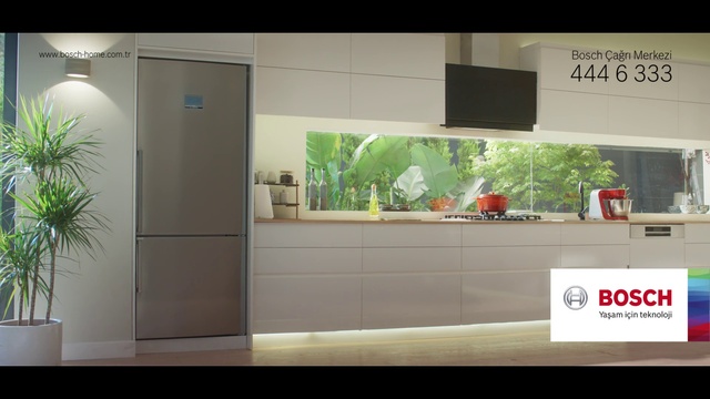 Video Reference: Photograph, Plant, Light, Green, Fixture, Lighting, Rectangle, Interior design, Houseplant, Wall