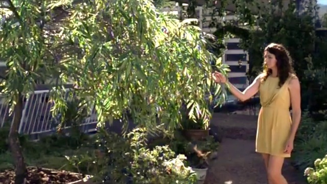 Video Reference: Plant, People in nature, Fawn, Grass, Shrub, Tree, Landscape, Day dress, Leisure, Garden