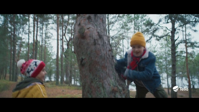 Video Reference: People in nature, Tree, Gesture, Happy, Wood, Trunk, Fun, Leisure, Recreation, Sky