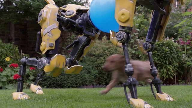 Video Reference: Plant, Shorts, Grass, Leisure, Balloon, Sports gear, Recreation, Tree, Personal protective equipment, Party supply