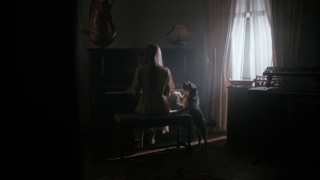 Video Reference: Window, Flash photography, Wood, Curtain, Chair, Tints and shades, Flooring, Darkness, Event, Room