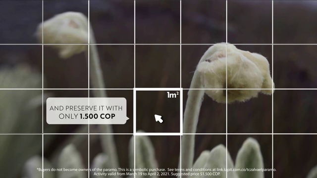 Video Reference: Vertebrate, Black, Human body, Organism, Mammal, Gesture, Font, Adaptation, Slope, Photo caption