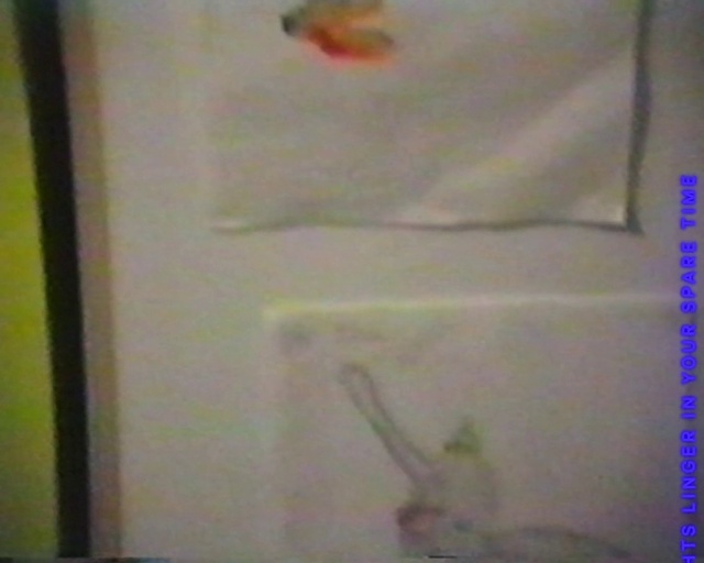 Video Reference: Paint, Rectangle, Art, Ceiling, Transparency, Visual arts, Drawing, Paper, Room, Plaster